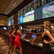 Players enjoying casino slot game with bonus round on mobile